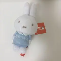 Item thumbnail for item 85ff4a0c-4d05-4233-9870-b8f0e69e30a9