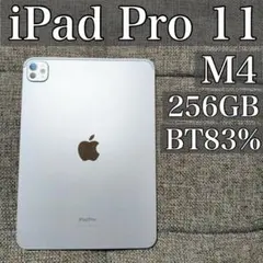 iPad Pro 11インチ 第5世代 M4