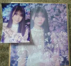 櫻坂46 サクコレ C賞 参加賞 小田倉麗奈 - メルカリ