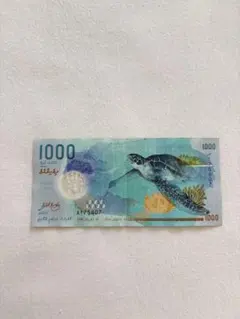 モルディブ ルフィア 1000ルフィア(MVR) 紙幣 ジンベイザメ ウミガメ