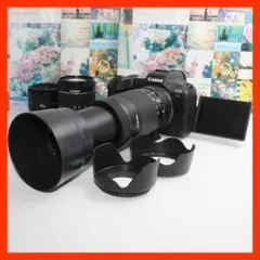 ✨予備バッテリー付✨Canon EOS R5 18-135mm USMレンズ✨ - メルカリ