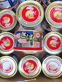 マルハニチロ　さば水煮　月花　1ケース24缶入のサムネイル