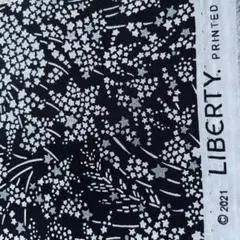 タナローン 生地