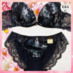 e8540【E85】ブラショーツセット 脇高 美谷間 美胸 水彩花風 紺