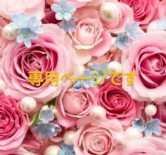 専用ページです