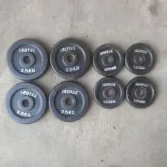 STEELFLEX 10kgプレート2枚 - メルカリ
