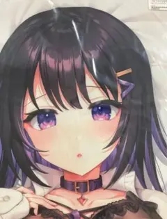 2025年最新】フトンノナカ 抱き枕の人気アイテム - メルカリ