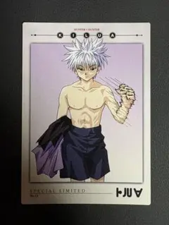 2026年最新】ハンターハンター カードダスマスターズ キルアの人気