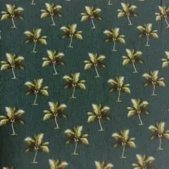 Item thumbnail for item fc4ab7a5-403c-4474-870d-f40147a695e0