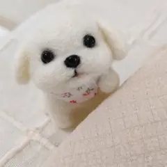 羊毛フェルト　犬　マルチーズ