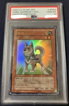 【ARS10+】高橋和希氏描き下ろし/サイン 柴戦士タロ ウルトラ 貴重 遊戯王 英語版 柴戦士タロ 高橋和希先生 描き下ろし サイン入り