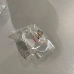 ディズニー　めじるしアクセサリー WINTER