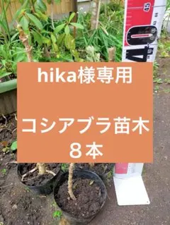 hika様専用のサムネイル