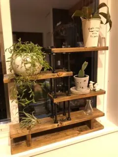 工具不要☆組み立て簡単☆天然木☆植物棚☆プランターラック☆窓枠植物☆観葉植物棚のサムネイル