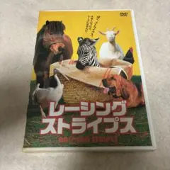 Item thumbnail for item 4262ef4e-8161-42e1-8f15-f9e71204ca4d