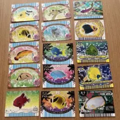 Item thumbnail for item 23886355-4fc4-4d56-bd80-ed276fbe837b