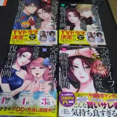 完璧ワイフによる 完璧な復讐計画 1〜4巻セット