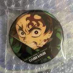鬼滅の刃　富岡義勇　ものがたる背中　コレクション缶バッジ　缶バッジ　炭治郎
