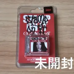 got the beat SMini Ver. スルギ 未開封