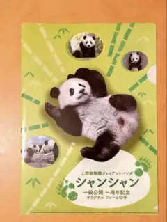 シャンシャン一般公開＆一周年記念　Ａ４クリアファイル ＋はがき5枚セット