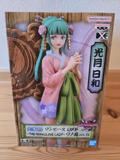 光月日和 フィギュア ワンピース