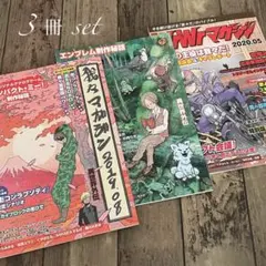 我々マガジン 3冊セット／WrWrマガジン／匿名配送