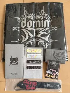 StrayKidsスキズdominATE World Tour アプグレグッズ