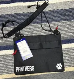 アメフト アメリカンフットボール