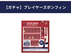 いわきfc プレイヤーズボンフィン