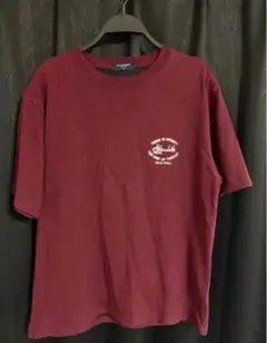 メンズTシャツ、半袖、Tシャツ