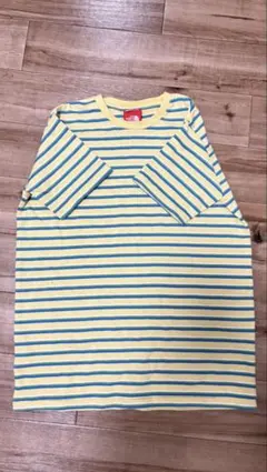 ザノースフェイス Tシャツ