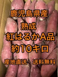 鹿児島県産　熟成紅はるかA品　箱込10キロ Mサイズ　e