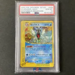 2025年最新】ギャラドス カードe psa10の人気アイテム - メルカリ