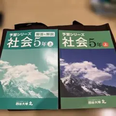 はなはな様 リクエスト 2点 まとめ商品
