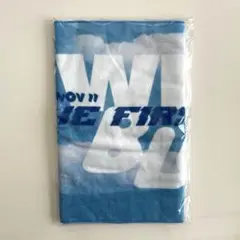 WILDBLUE Sports Towel