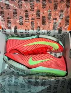 Nike マックスフライ 25センチ 2025年最新】MAXFLY 25の人気アイテム - メルカリ