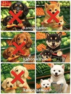 P382 パネル生地　ダックスフンド　柴犬　買い物　18×18 6枚1セット