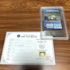 2025年最新】デジモンカード psa10の人気アイテム - メルカリ