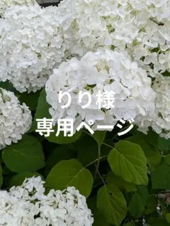 ラボット服　LOVOT　ハンドメイド　りり様専用ページのサムネイル