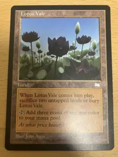 2026年最新】水蓮の谷間の人気アイテム - メルカリ