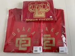 大阪エヴェッサ Tシャツ 3枚セット