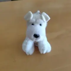 2025年最新】くったりシュナの人気アイテム - メルカリ