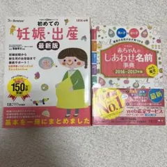 Item thumbnail for item 0ed49f80-fe9b-4381-bab4-76c32506c07b