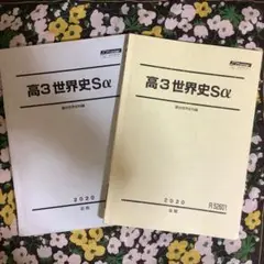 駿台早慶大世界史演習 2025年最新】Yahoo!オークション -駿台 早慶大世界史の中古品