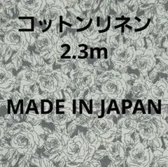 Item thumbnail for item 83f71512-e655-450a-9036-d46a73bf04a1