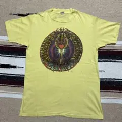70-80's ヘインズ染み込みプリントTシャツ