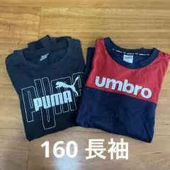 のーーん様専用