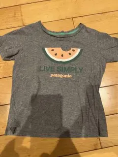 patagonia オーガニックコットン Tシャツのサムネイル