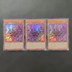 ブラック・ローズ・ドラゴン　バスター　UR　3枚　ヴァリュアブル　EX6　遊戯王