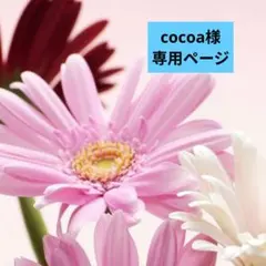 ★cocoa様専用ページ★